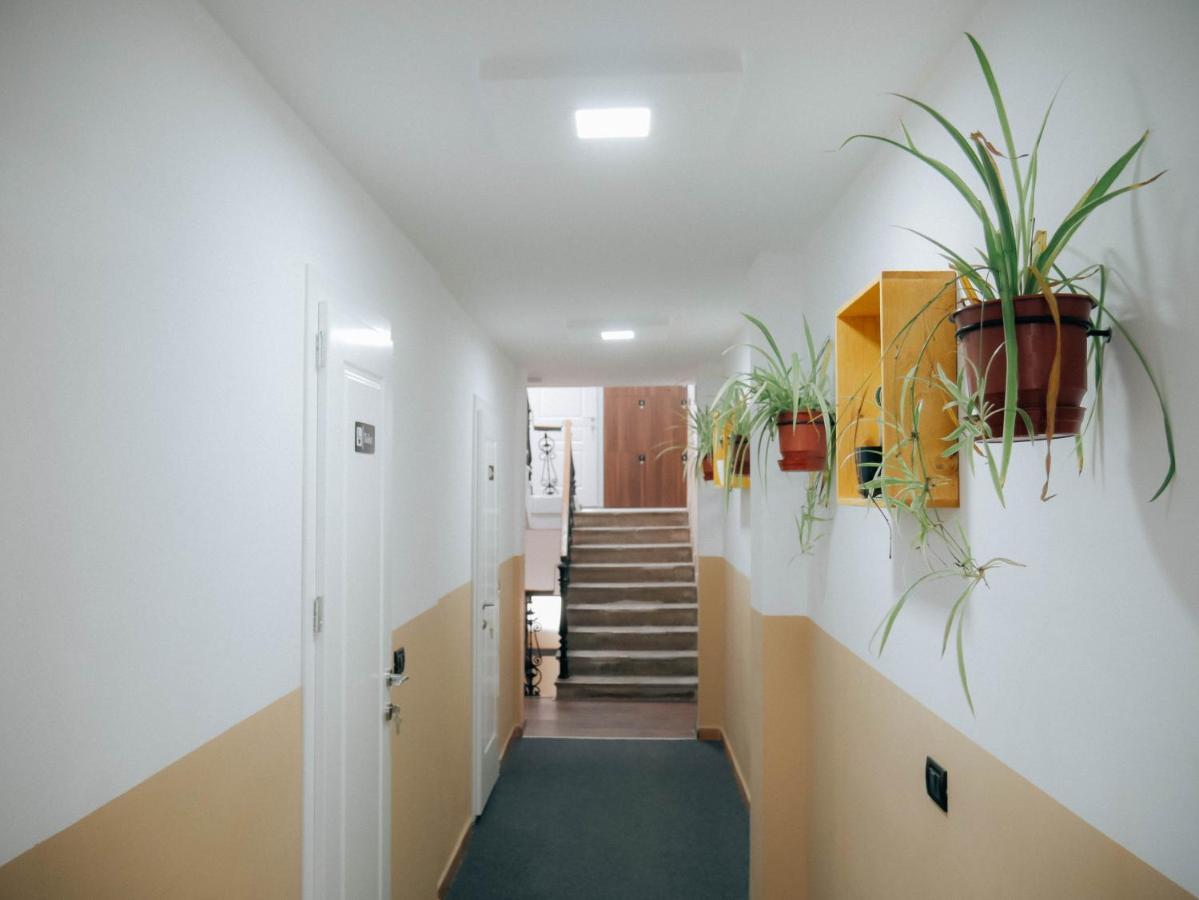 The Maze Hostel Tiranë Ngoại thất bức ảnh
