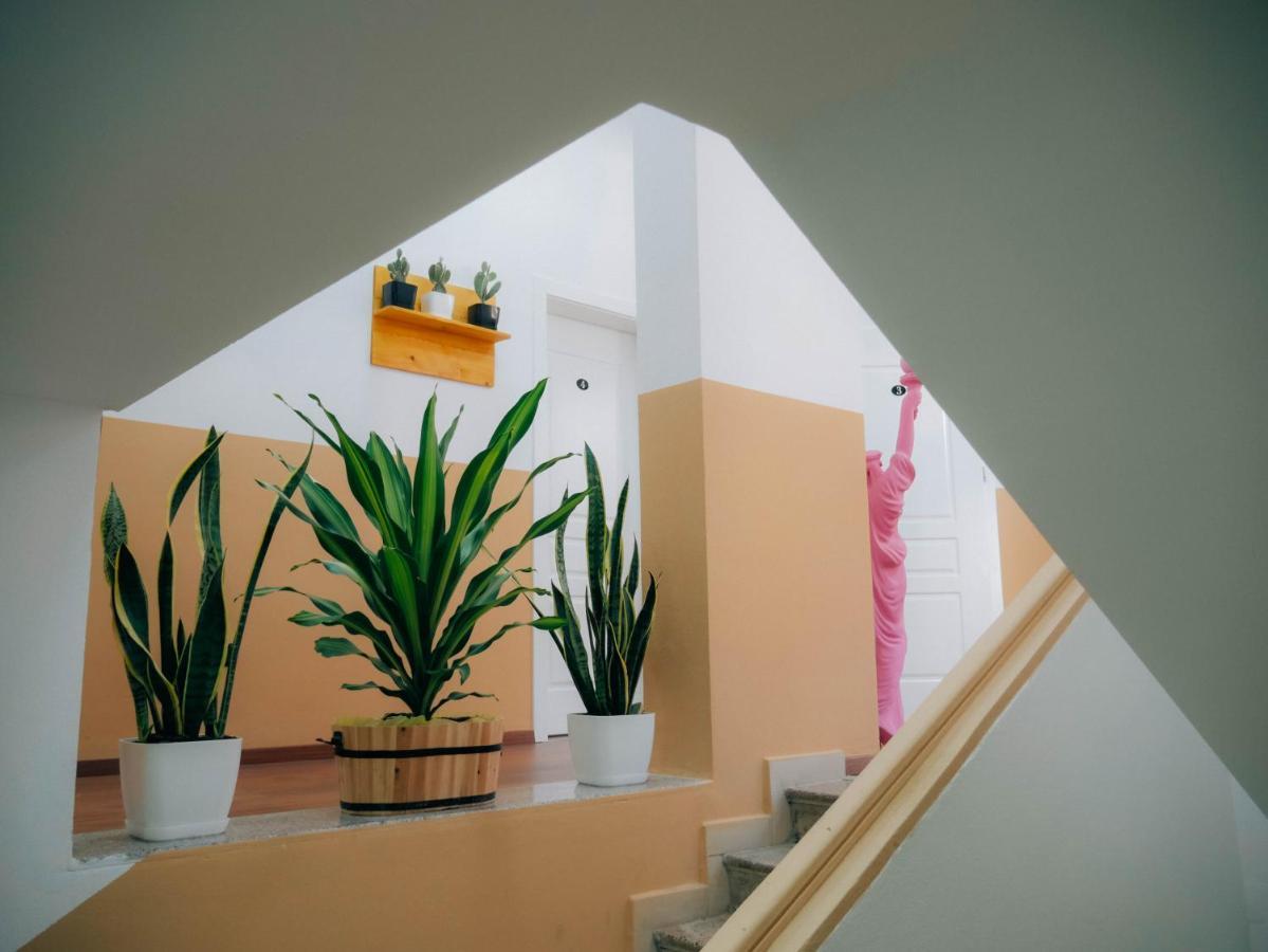The Maze Hostel Tiranë Ngoại thất bức ảnh