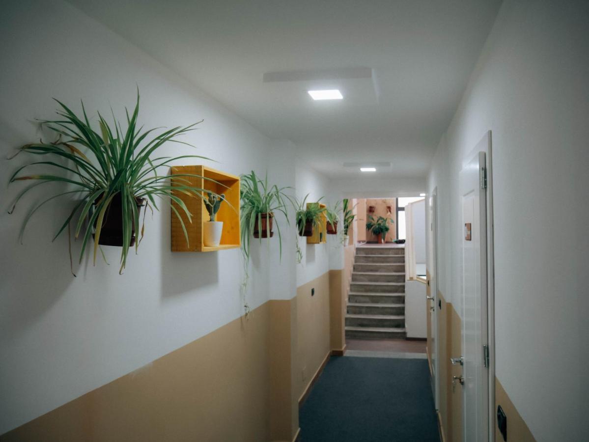 The Maze Hostel Tiranë Ngoại thất bức ảnh